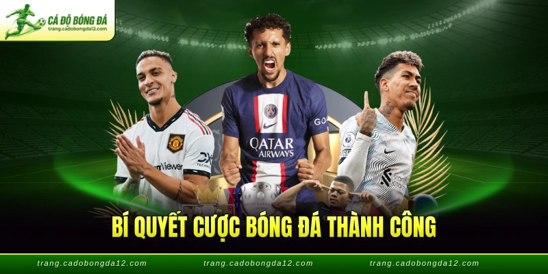 Bí quyết cược bóng đá thành công