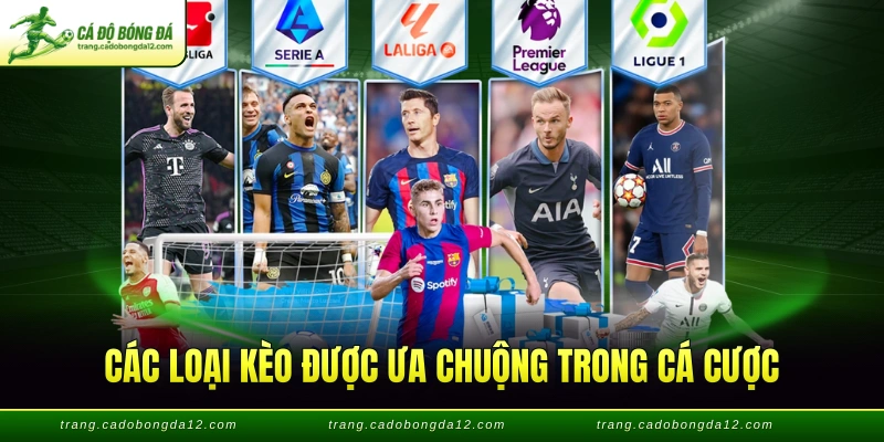 Các loại kèo được ưa chuộng trong cá cược