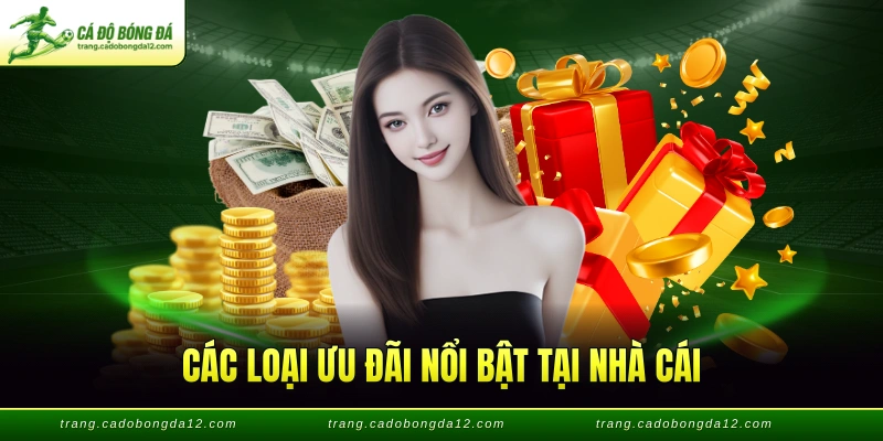 Các loại ưu đãi nổi bật tại nhà cái