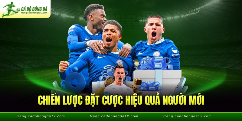 Chiến lược đặt cược hiệu quả người mới