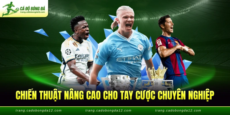 Chiến thuật nâng cao cho tay cược chuyên nghiệp