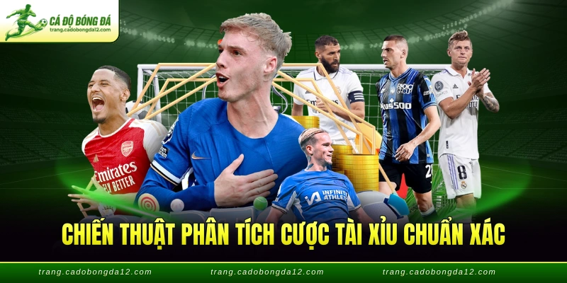 Chiến thuật phân tích cược tài xỉu chuẩn xác