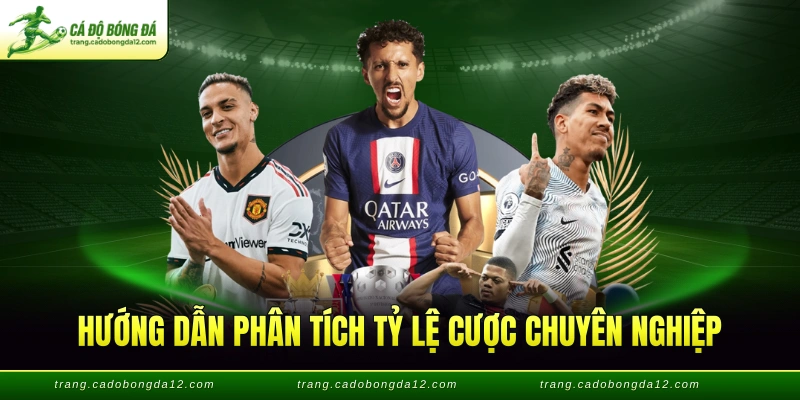 Hướng dẫn phân tích tỷ lệ cược chuyên nghiệp