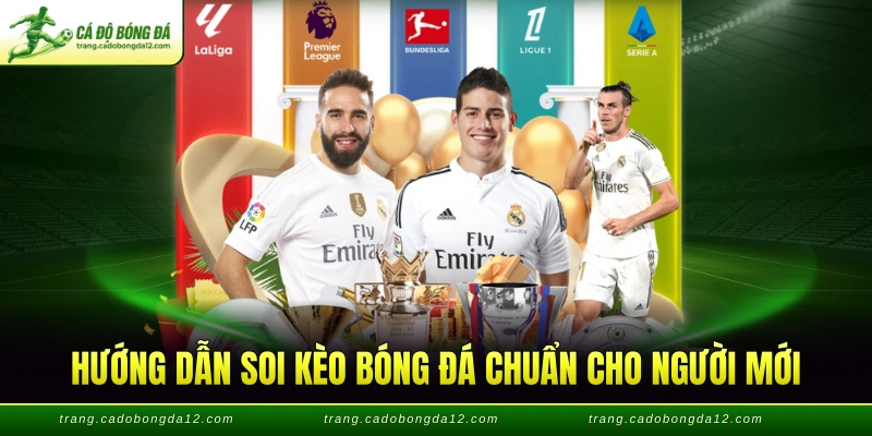 Hướng dẫn soi kèo bóng đá chuẩn cho người mới