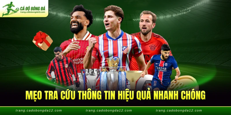 Mẹo tra cứu thông tin hiệu quả nhanh chóng