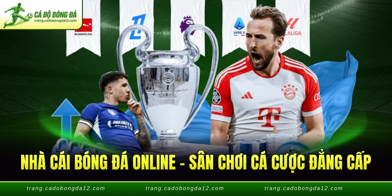 Nhà cái bóng đá online