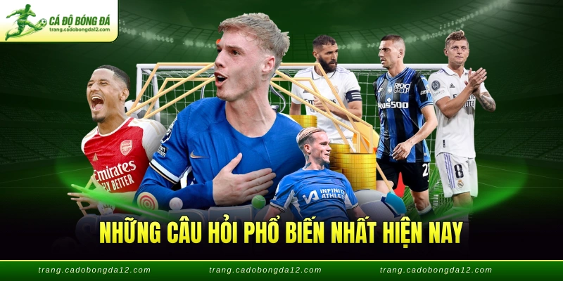 Những câu hỏi phổ biến nhất hiện nay