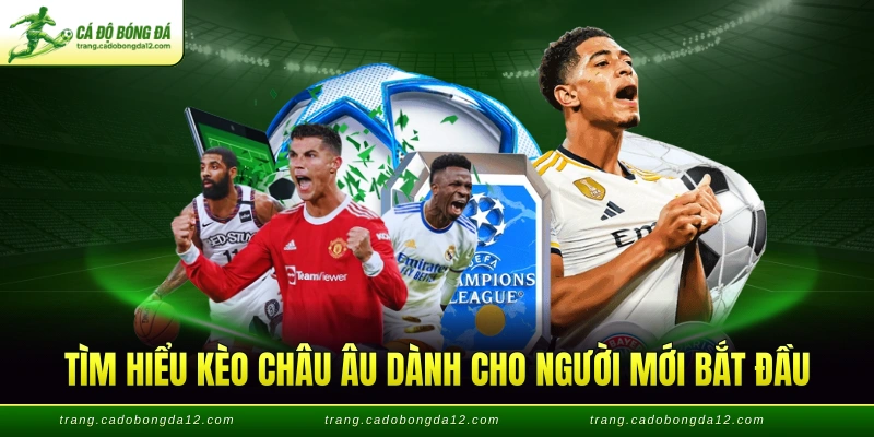 Tìm hiểu kèo châu Âu dành cho người mới bắt đầu