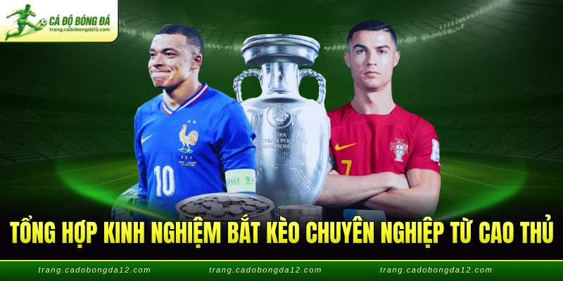 Tổng hợp kinh nghiệm bắt kèo chuyên nghiệp từ cao thủ