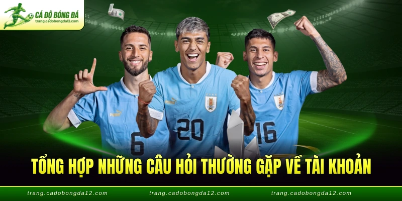 Tổng hợp những câu hỏi thường gặp về tài khoản