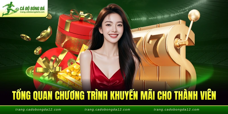 Tổng quan chương trình khuyến mãi cho thành viên
