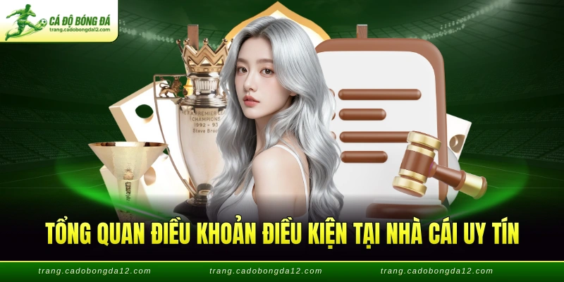 Tổng quan điều khoản điều kiện tại nhà cái uy tín