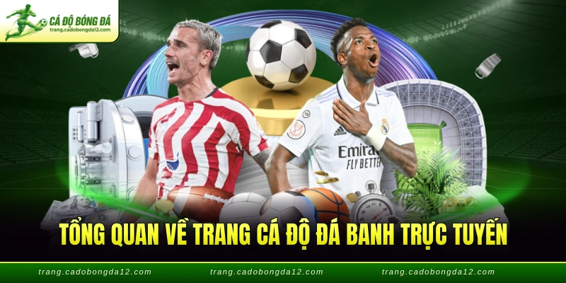 Tổng quan về trang cá độ đá banh trực tuyến