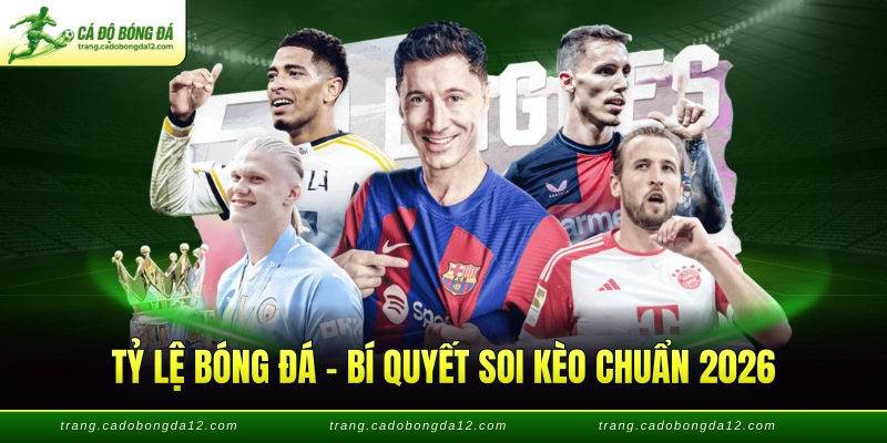 Tỷ lệ bóng đá