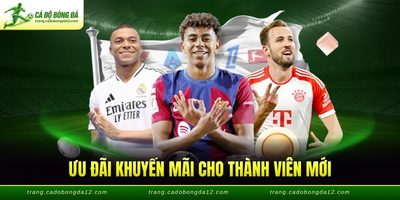 Ưu đãi khuyến mãi cho thành viên mới