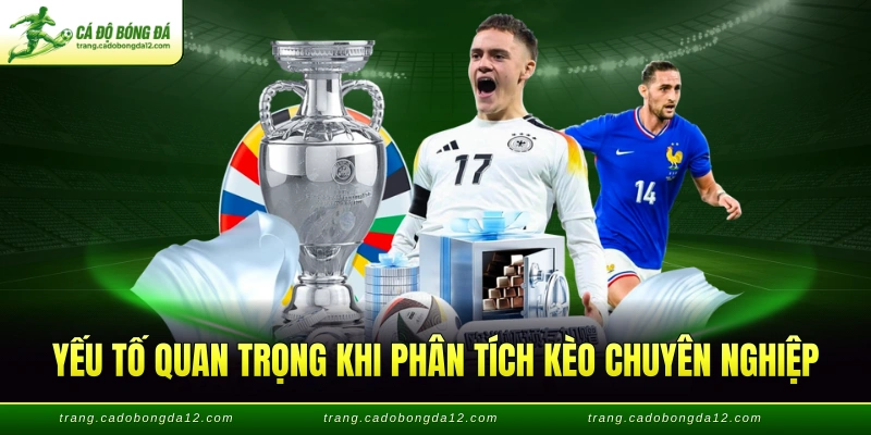 Yếu tố quan trọng khi phân tích kèo chuyên nghiệp